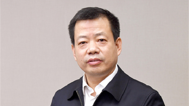 全國人大代表王文保：利用數碼化技術推動文物保護與利用