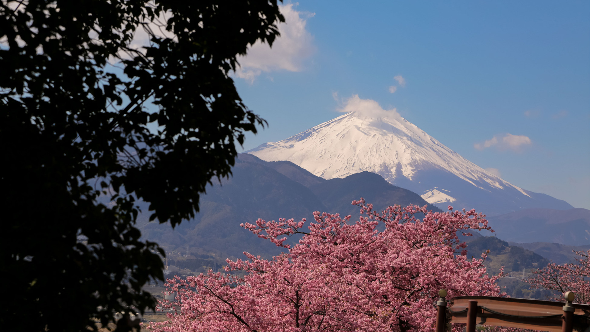 日本抗議被列不友好國家 追加制裁凍結俄32人等資產
