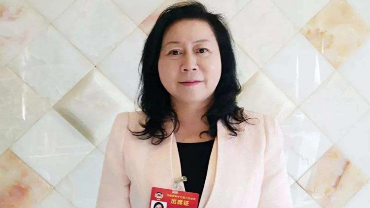 【聲音】王晶：解決漢字難學問題 委員建言推進數碼化發展