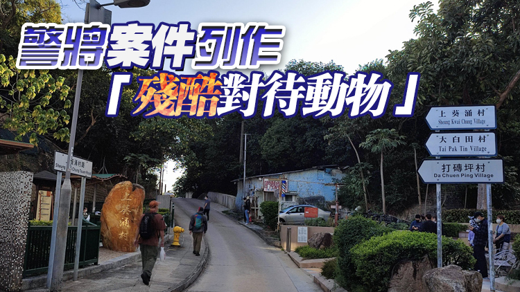 未成年小狗荃灣疑遭劏肚殘殺 暫未有人被捕