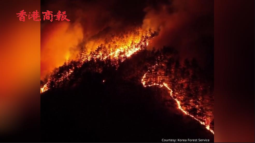 有片 | 韓國森林火災過火面積逾2.1萬公頃 面積超3萬個足球場
