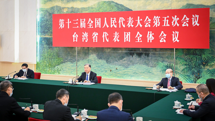 汪洋參加台灣代表團審議：堅決反對「台獨」分裂行徑 堅決反對外部勢力干涉