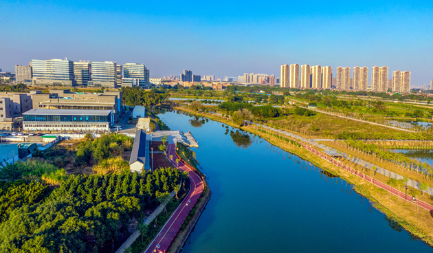 興產業抓專案 為東莞高質量發展貢獻「道滘力量」