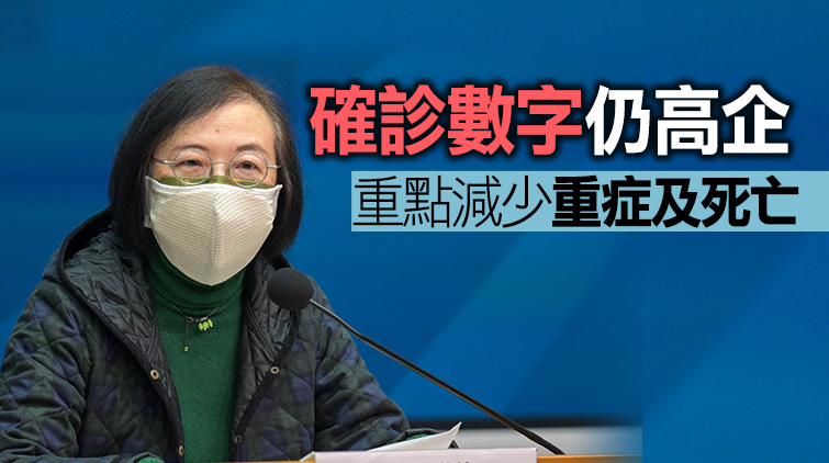 陳肇始：已向中央提請派醫護支援 會與醫管局商討合作模式