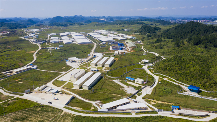 溫氏加快構建現代養殖體系 研發國產豬芯片提升育種科技實力