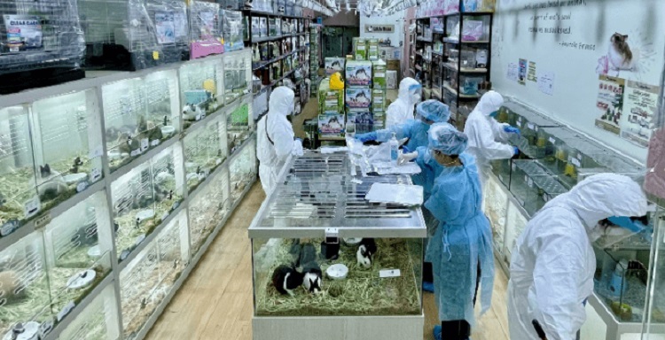 漁護署就《2021年道路交通（修訂）條例》涵蓋的動物發出聲明