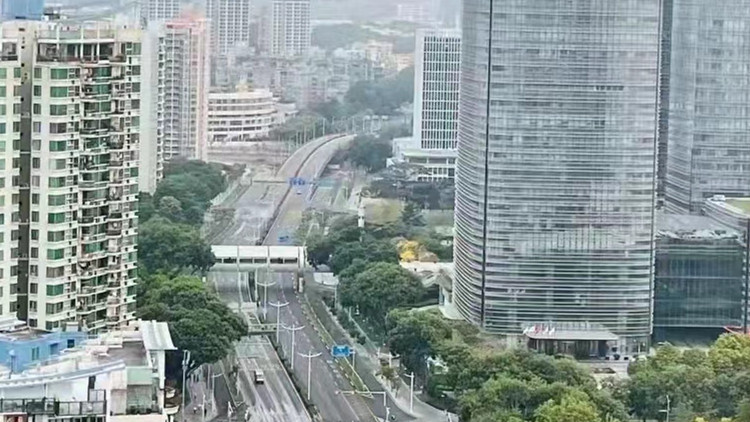 深圳7天「慢生活」  你關注的交通出行問題都在這了