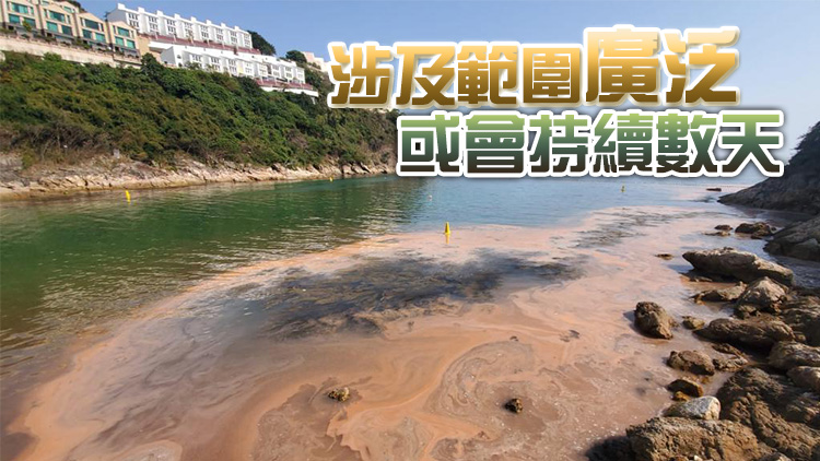 淺水灣泳灘等多處水域出現紅潮 港府抽樣分析不含毒素
