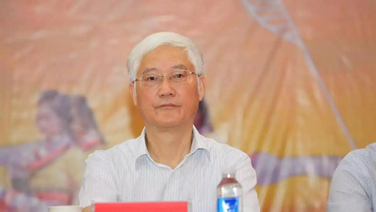 武漢原常務副市長袁善臘接受審查調查