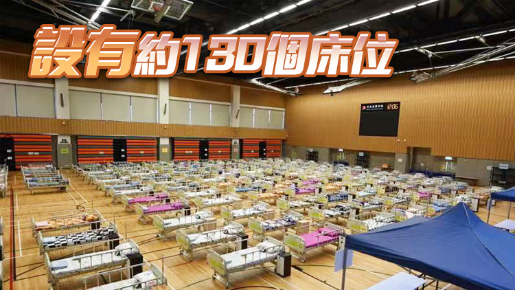 港灣道體育館暫託中心16日投入運作