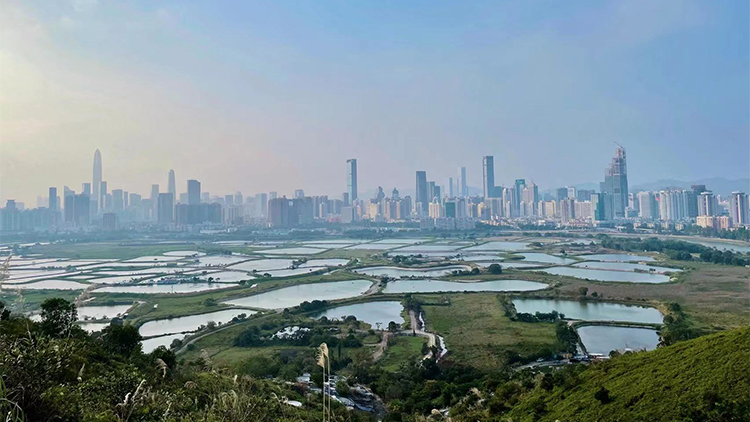 發展局推縮短城規流程 每個公營房屋項目料省時2年半