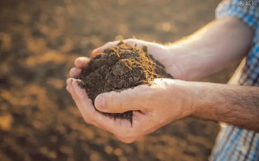 自然資源部：違法采稀土，入刑！