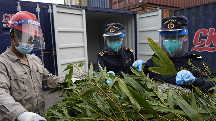陸海聯運保障香港「國寶」口糧快速通關