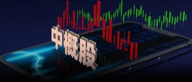 傳內地要求多間中概股 準備披露更多審計資料