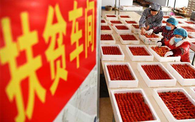 五部門：推動全國脫貧人口務工規模不低於3000萬人