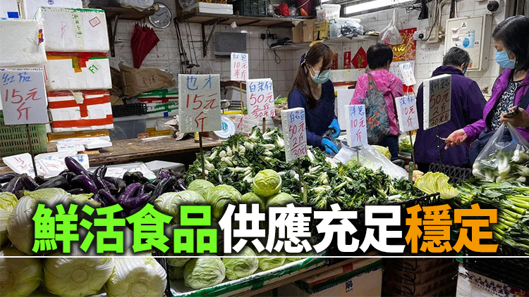 24日內地供港蔬菜逾2100公噸 與平日內地供應量相若