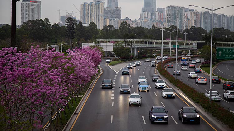4號通告來了，深圳為何繼續「嚴管」？
