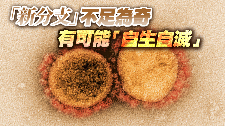 蘇州發現Omicron新分支？病毒學專家分析