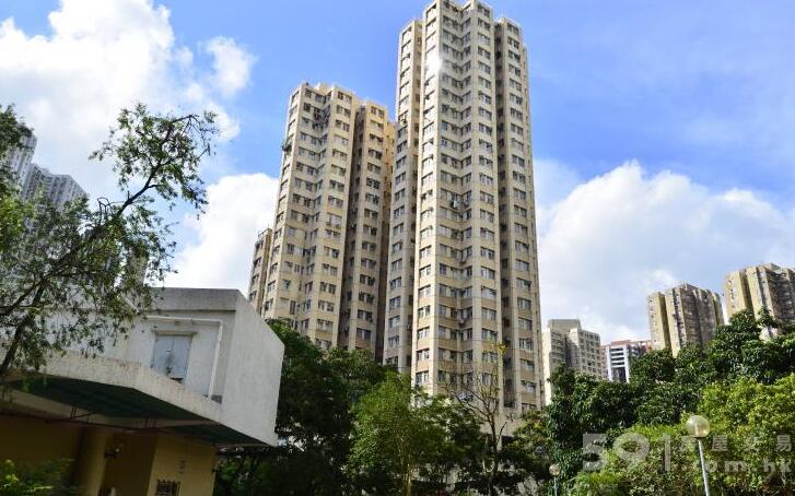 蔡志忠拆售柴灣43個車位 套現逾4000萬元