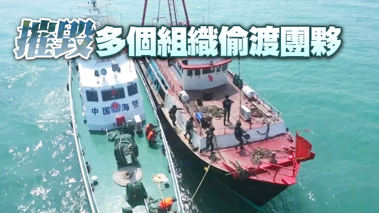 廣東海警連破5起偷渡案 抓獲256人