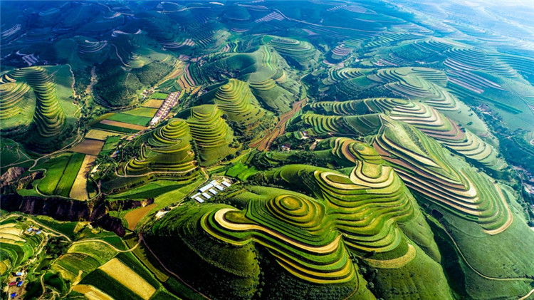 甘肅慶陽生態立市「繪出」環保「十足底色」