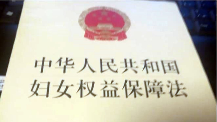 內地對「豐縣生育八孩女子」反映問題作出立法回應