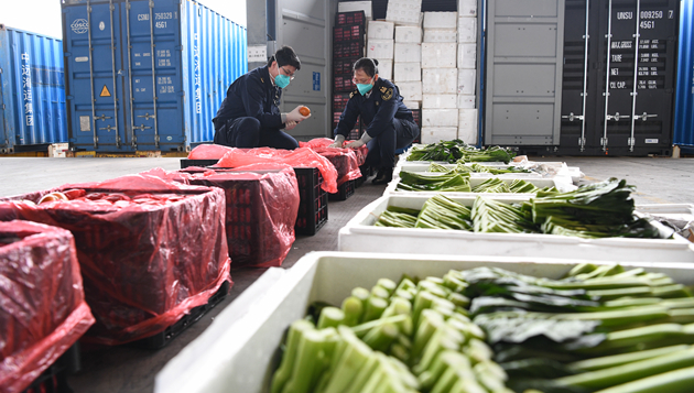 運房局：15日深圳供港物資約2.2萬噸 