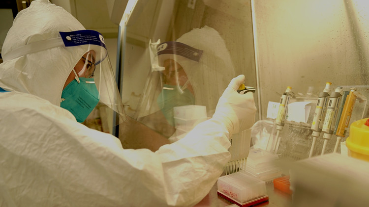 4月17日深圳新增病例4例  均為外省來深人員