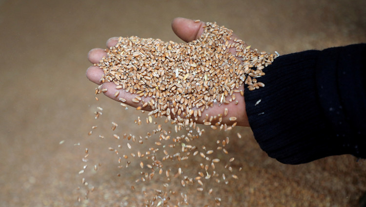 聯合國秘書長：烏克蘭危機可能導致全球兩成人口陷入貧困和飢餓