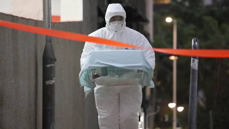 漁護署：染疫寵物測試結果呈陰性後會安排主人接回