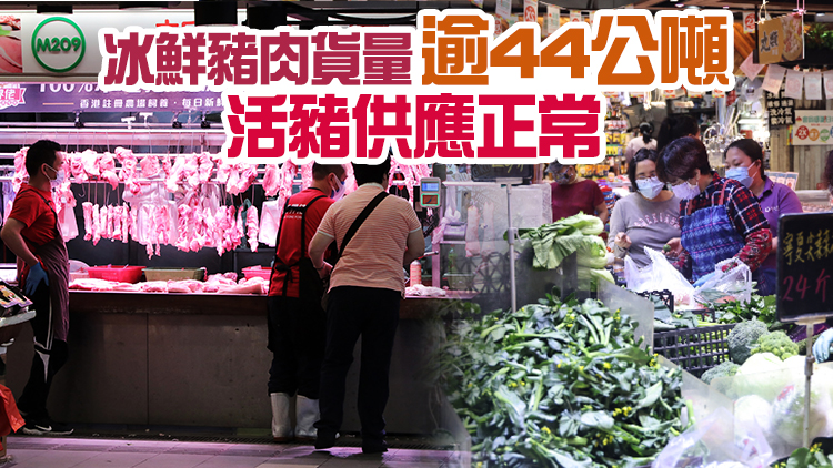 內地18日供港蔬菜約2500公噸 與平日供應量相若
