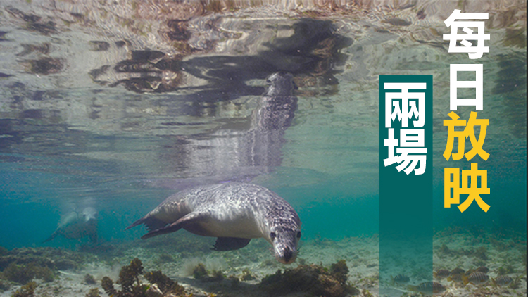 香港太空館推出全新全天域電影《小海獅大歷險》