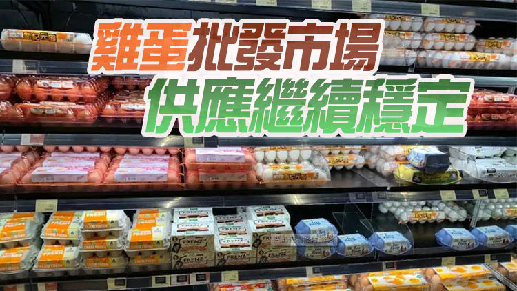 21日內地供港蔬菜逾2500公噸 菜芯批發價每斤5.4元