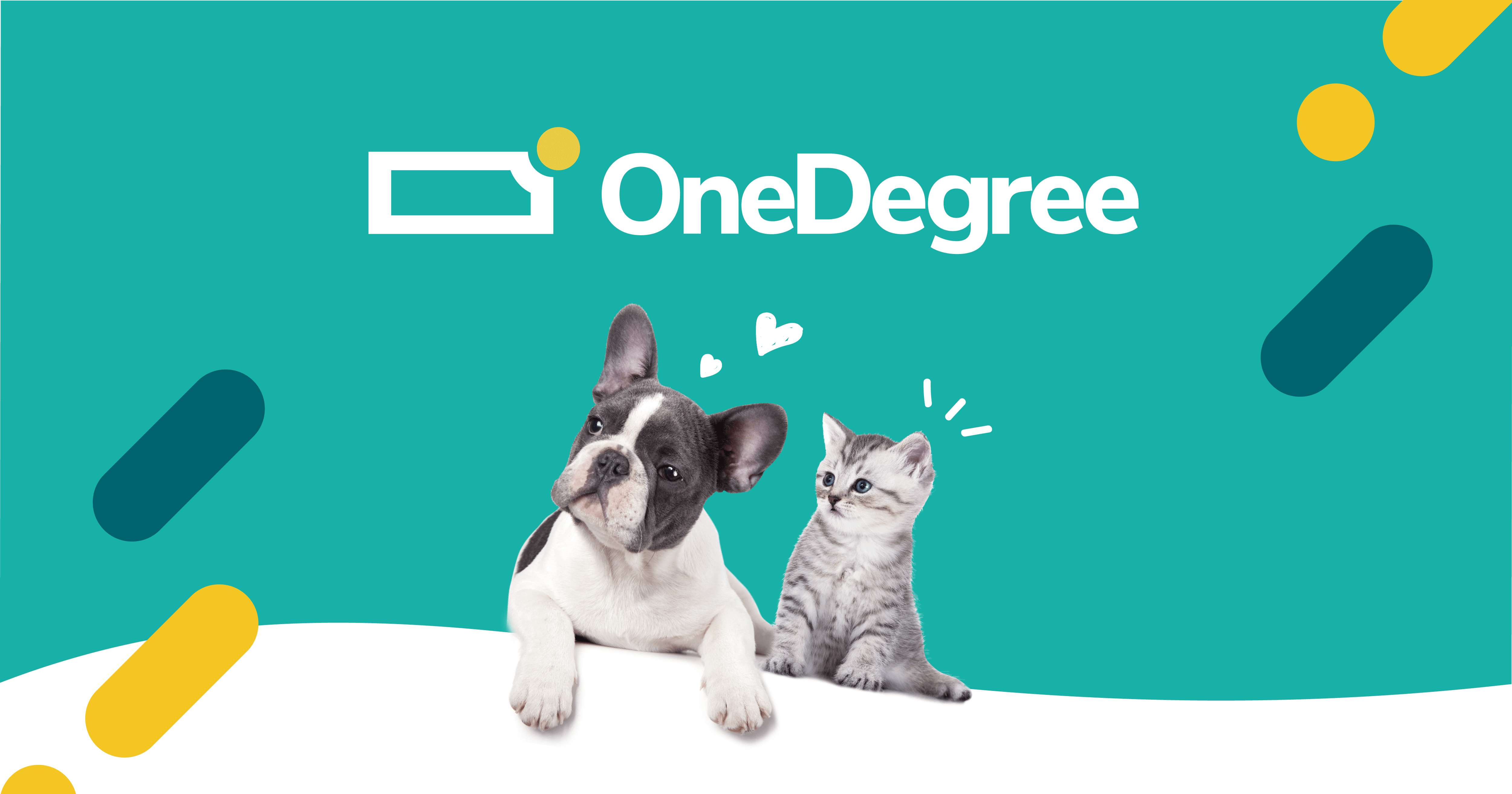 本港虛擬保險公司OneDegree首季銷售按季度增長4成