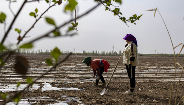 新疆官方回應美人權報告：為什麼不說說自己國家的人權狀況？