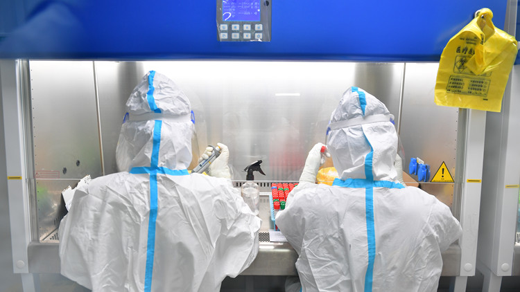 曾出具「假陽性」報告 合肥暫停與兩家核酸實驗室合作