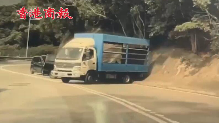 有片｜大貨車溜後衝落斜波撞七人車 司機急速扭軚閃避