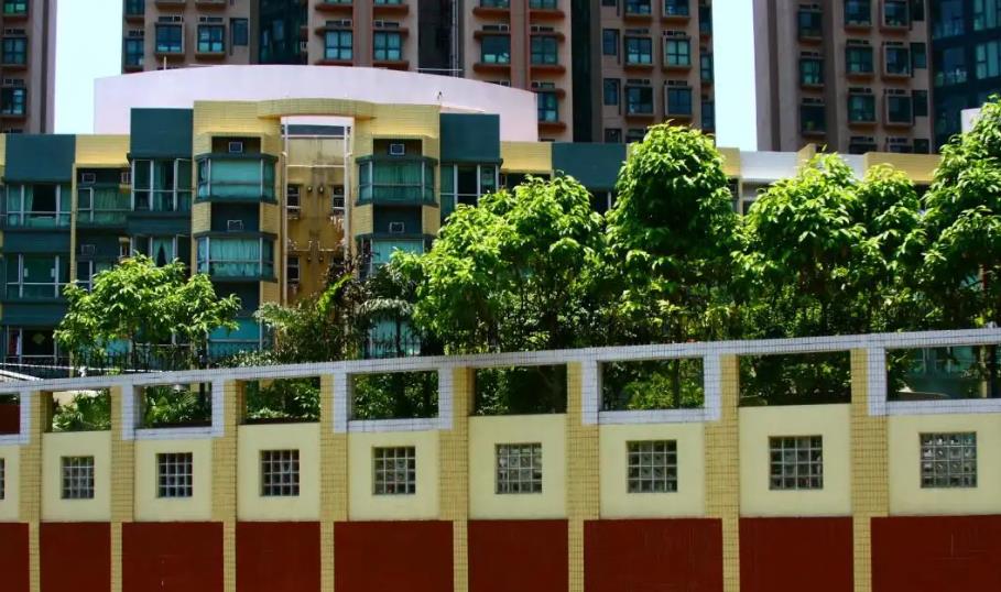 鑽石山悅庭軒第二座及第三座強檢 揭3宗陽性及1宗不確定個案