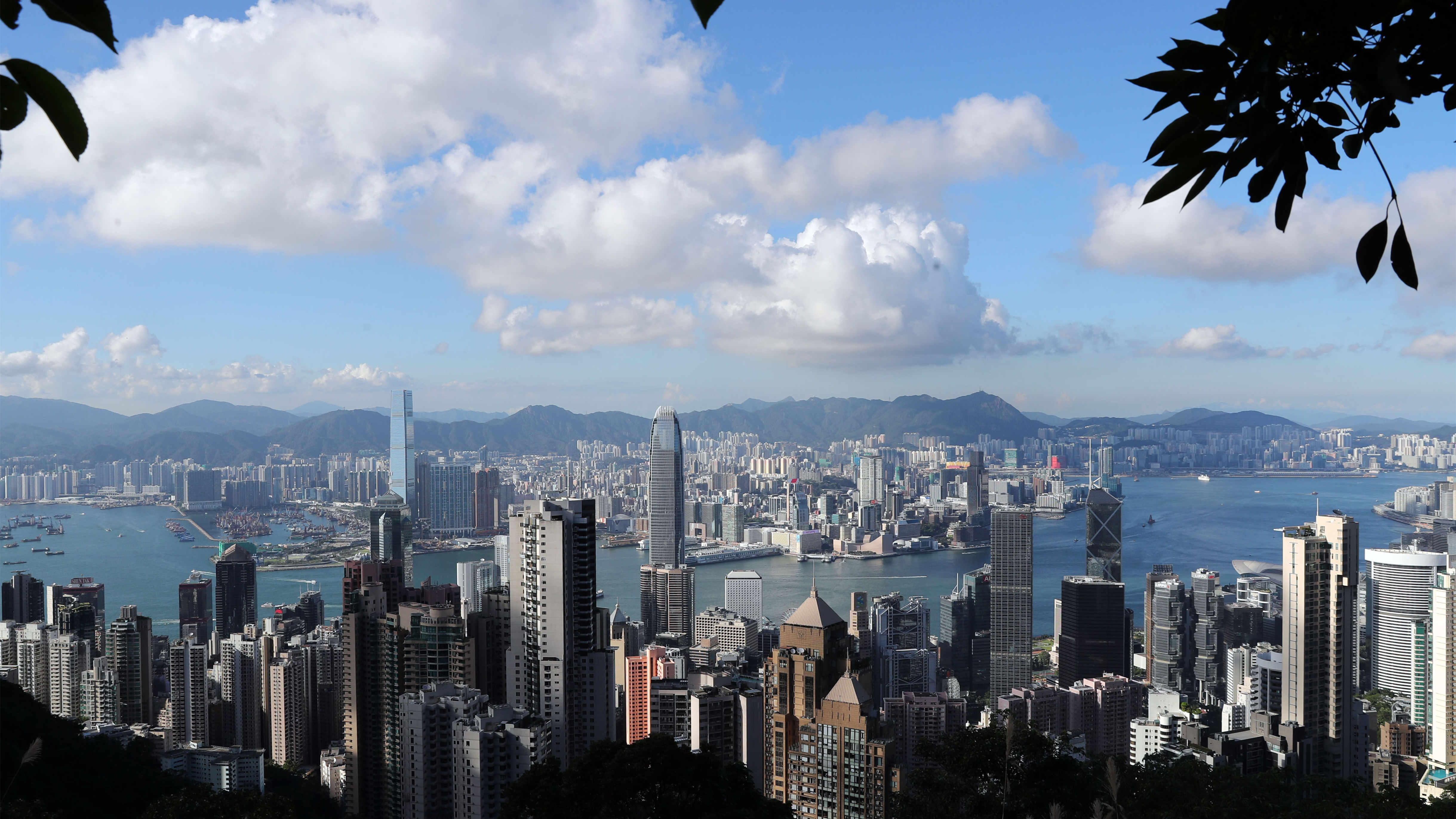 蔡志忠：堅持「一國兩制」 香港才有優勢