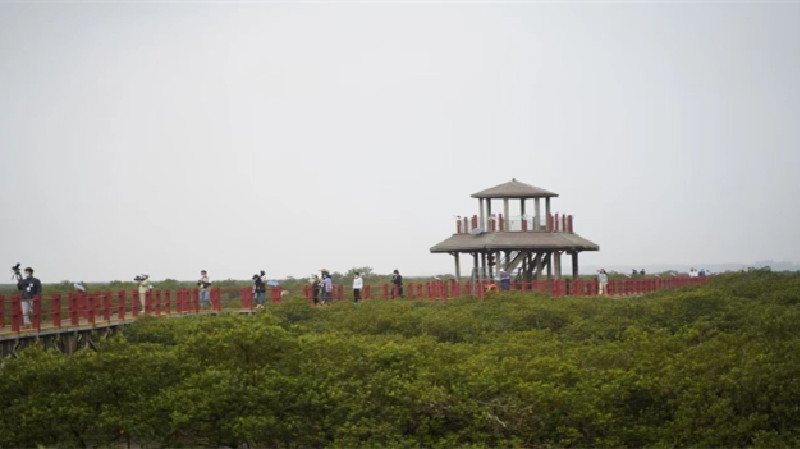 廣西北海：海洋生態保護與經濟發展實現「雙贏」