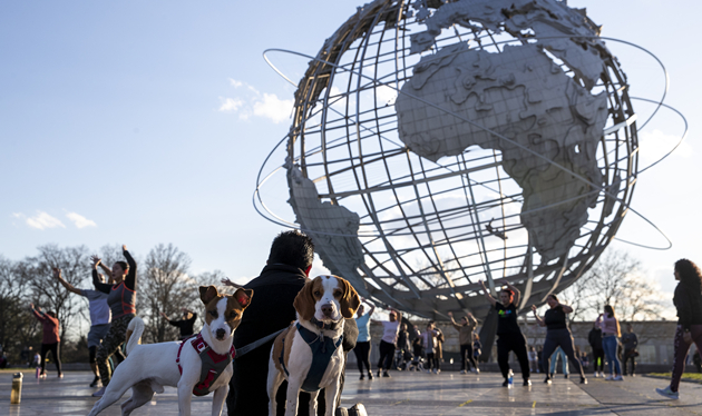 美報告一例人感染H5型禽流感病毒病例  疲勞症狀持續數日