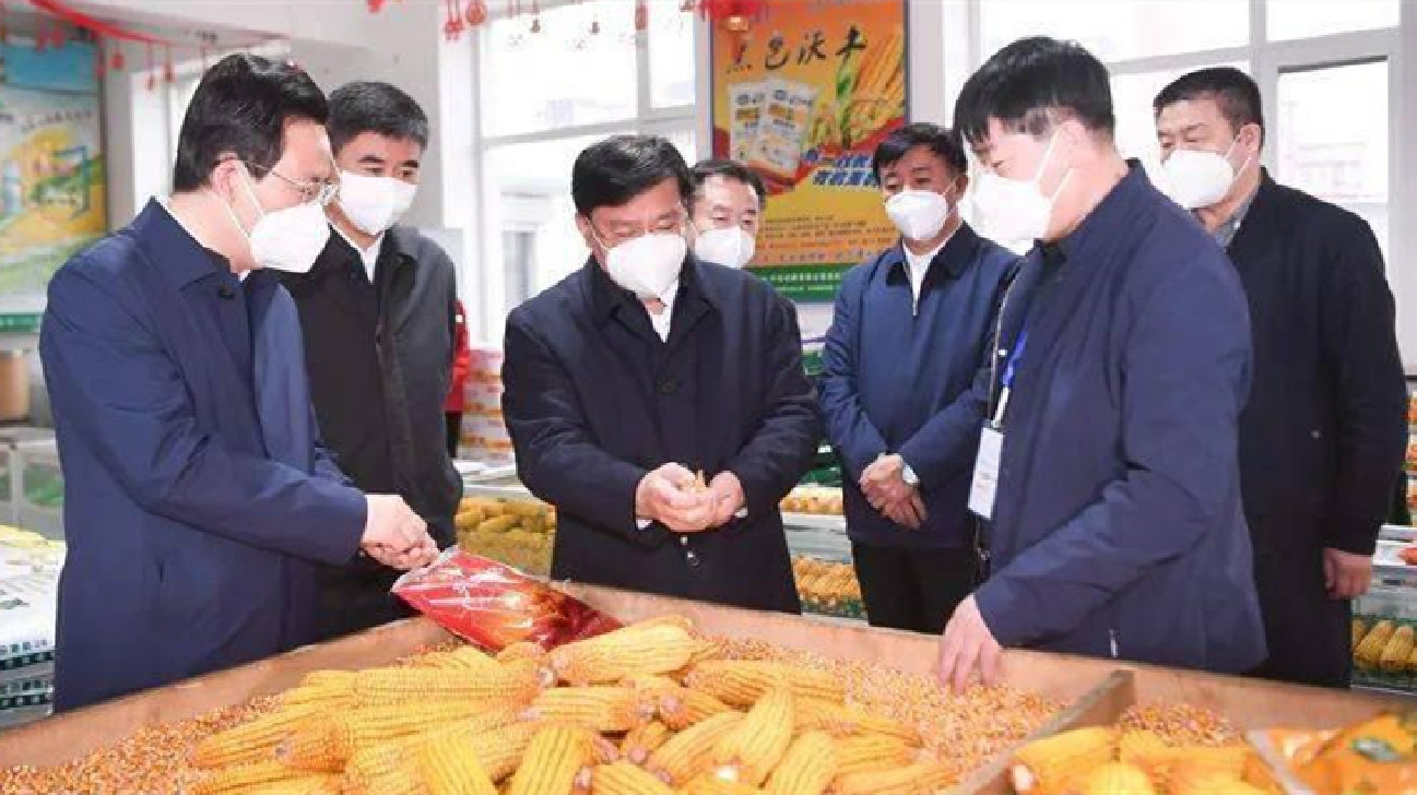 從封控之城到鄉村的突圍之路——來自吉林疫情防控與維護國家糧食安全的雙線戰報（中）