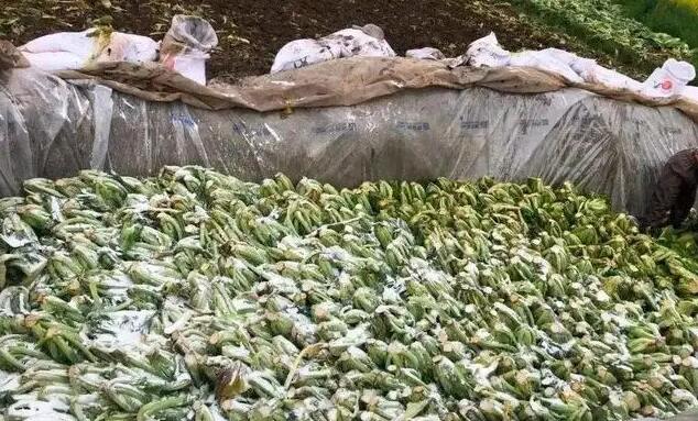 湖南「土坑酸菜」廠家錦瑞食品被停產 兩負責人分別被罰百萬