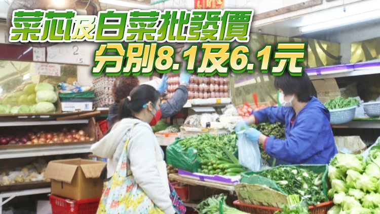 4日內地供港蔬菜逾2600公噸 鮮活食品供應充足穩定