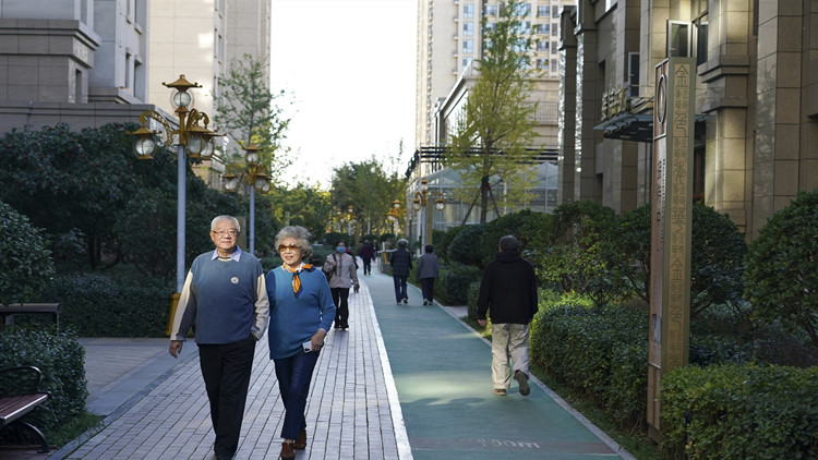 中央政法委秘書長：要堅決剷除養老詐騙問題隱患