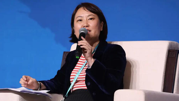 中銀香港首席經濟學家鄂志寰：發揮制度優勢 共創香港美好明天