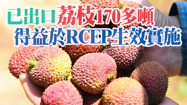 廣東茂名今年荔枝出口國將增多 首次出口菲律賓