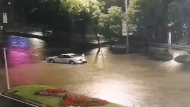 暴雨衝刷出的深圳寶藏