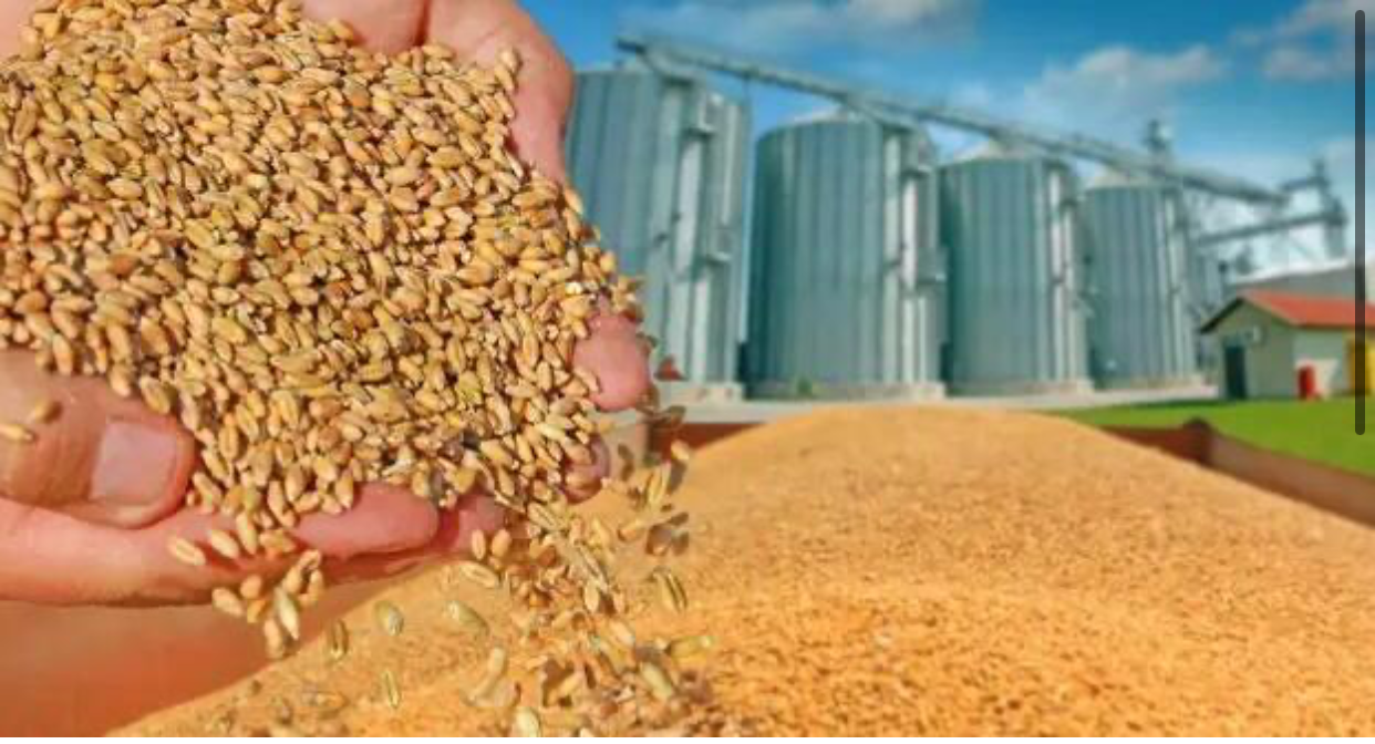 【金融瞭望】全球危機疊加災難深重