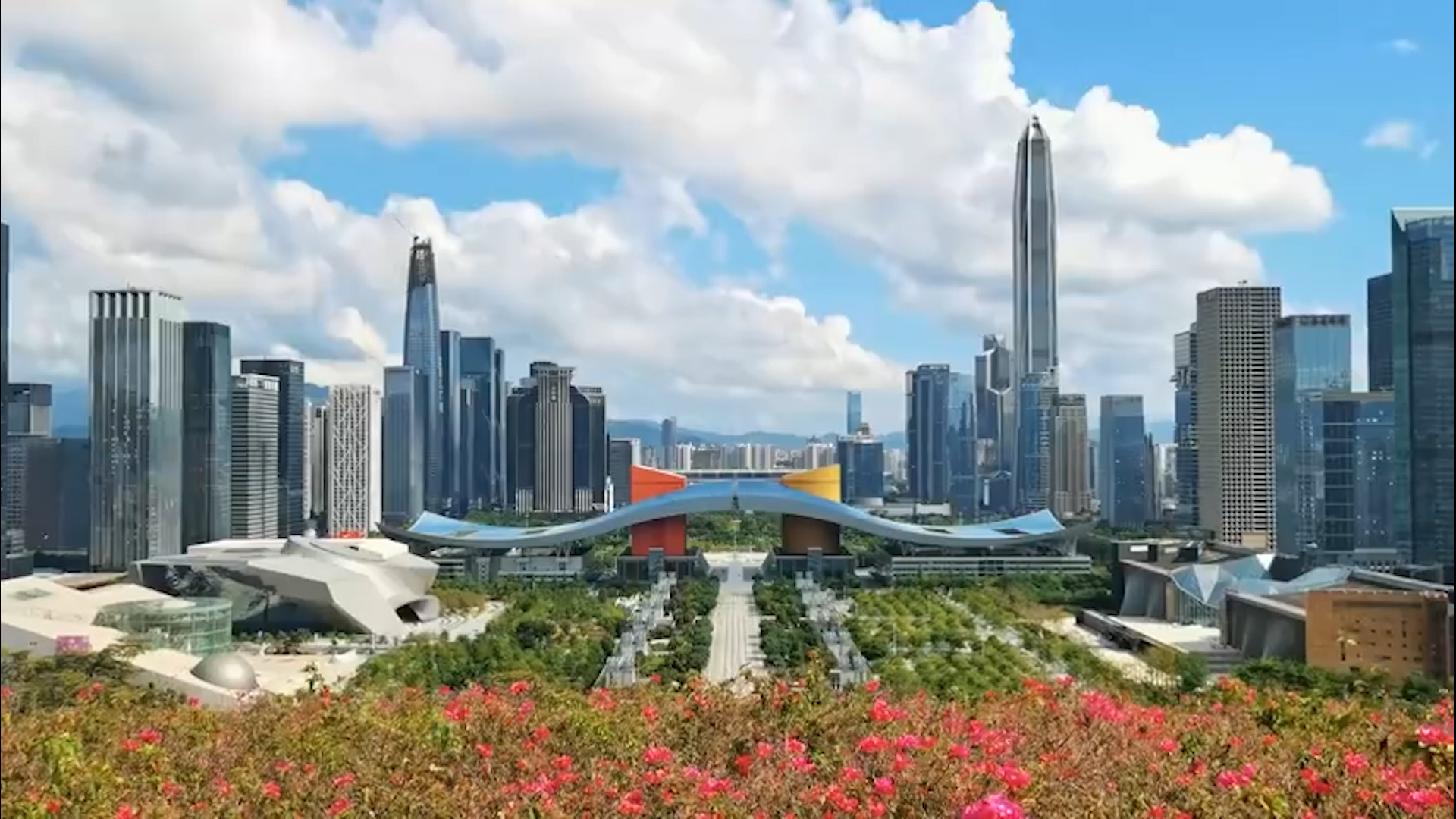 有片丨看，深圳的神奇生物！